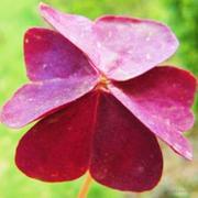 用户6196287496003的个人资料头像