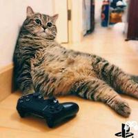 IamwhatIam991头像