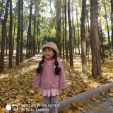 双子座瓶子里的小螃蟹头像