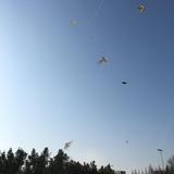 Gan露头像