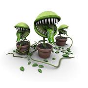 o0o0o的个人资料头像