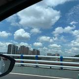 情李头像