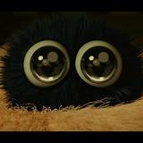 骑驴看戏头像