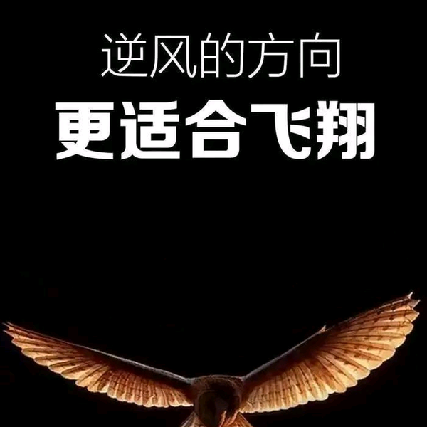 大李FM头像