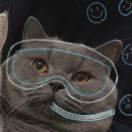 捞月亮的小伙汁的个人资料头像