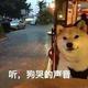 智勇双全蜻蜓K5H头像