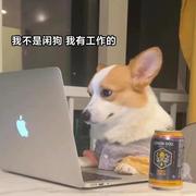 callMe小王的个人资料头像