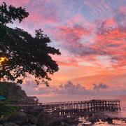 midshar的个人资料头像