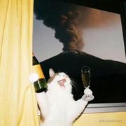 Rkgua_没IT的一天的个人资料头像