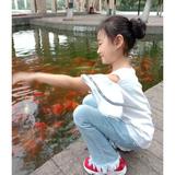 用户1271747236079头像
