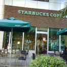 LG培佬的个人资料头像