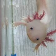 用户840517654681的个人资料头像