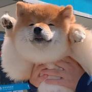 不语509的个人资料头像