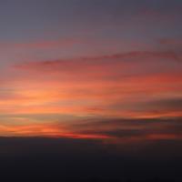 吃西餐用手抓头像