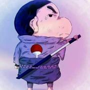 空空z的个人资料头像