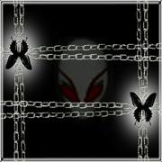 Xn_梓锌的个人资料头像