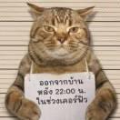 对方正在输入就是我108331的个人资料头像