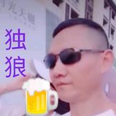 独⭕狼头像