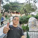 老唐爱旅行头像