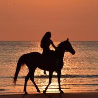 青梅绿茶0829头像