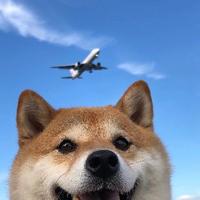 I我在等风也等你头像