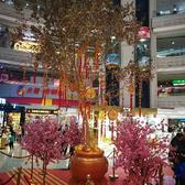 冬玉馨头像