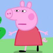 薛定谔的猪968的个人资料头像