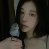 小美想买车123头像