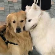 Hare的个人资料头像