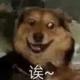 哔哩哔哩吧啦拉头像