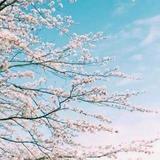 快乐就好69061头像