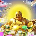 车缘5180头像