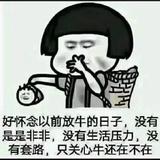 吃鱼的火车头像