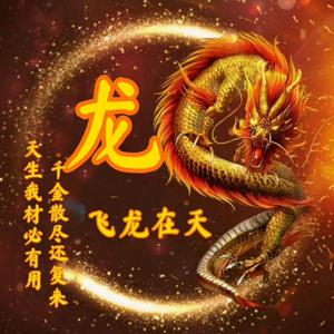 龍九0T9W头像