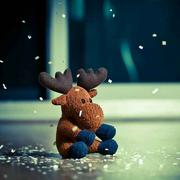 篝火叶明的个人资料头像