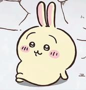 五三七的个人资料头像