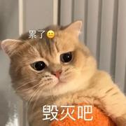 全不会攻城狮的个人资料头像