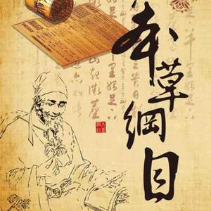 杏林医道头像