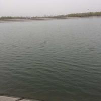 面朝大海1813头像