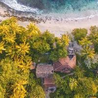 番茄2400931144022519头像