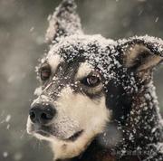 哈喽沃德程序猿的个人资料头像