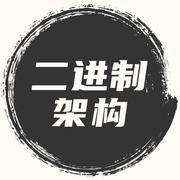 二进制架构的个人资料头像