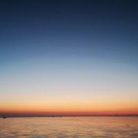 自由的浪花5头像