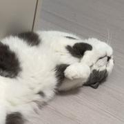 悟饭845的个人资料头像