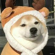 用户1517286208887的个人资料头像