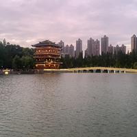 可爱的永闯天涯123头像