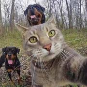 果冻沙拉的个人资料头像