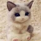 luckboy105135的个人资料头像