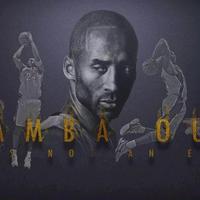 老何爱看NBA头像