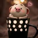 落叶东去的个人资料头像